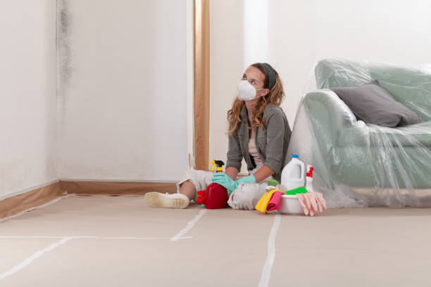 Reliable Attic Mold Removal contractor in Nolensville, TN by WQB Mold Removal